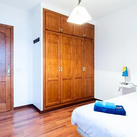 Live Mimosa